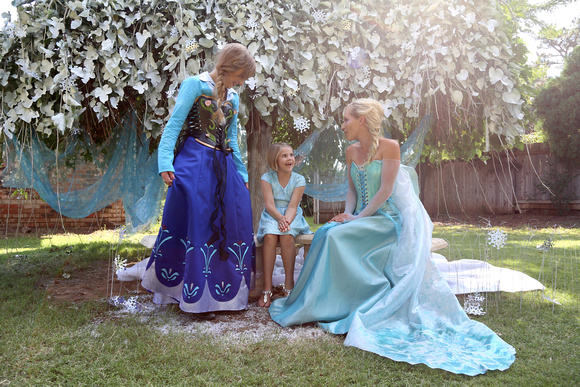 Frozen-Princess Anna-Elsa-Oklahoma Portraits-Disney characters-flocking tree background-CrookedGlass Studios