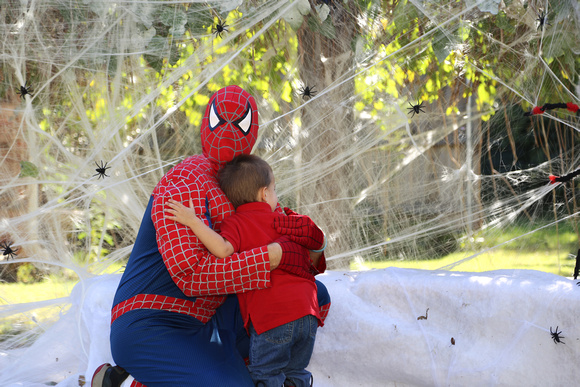 Spider-Man-Spiderweb-Children Photography-Flocking tree-Marvel-Edmond-Guthrie-CrookedGlass Studios